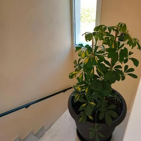 Evangelia's - 3 Bedroom Sea View *